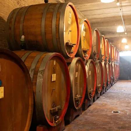 팜스테이 아그리투리스모 프라스케타 *